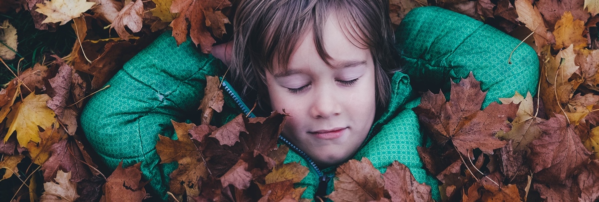 季节性影响睡在秋季和冬季